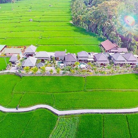 Villa Jj And Spa Ubud Εξωτερικό φωτογραφία