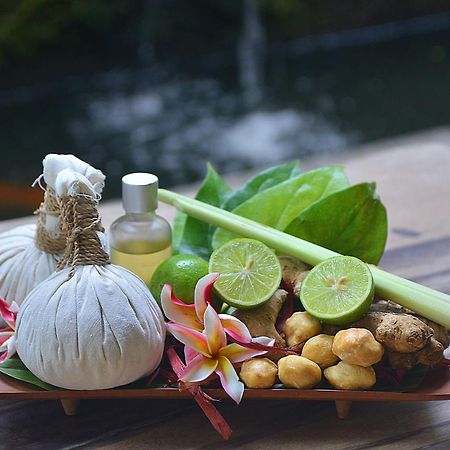 Villa Jj And Spa Ubud Εξωτερικό φωτογραφία