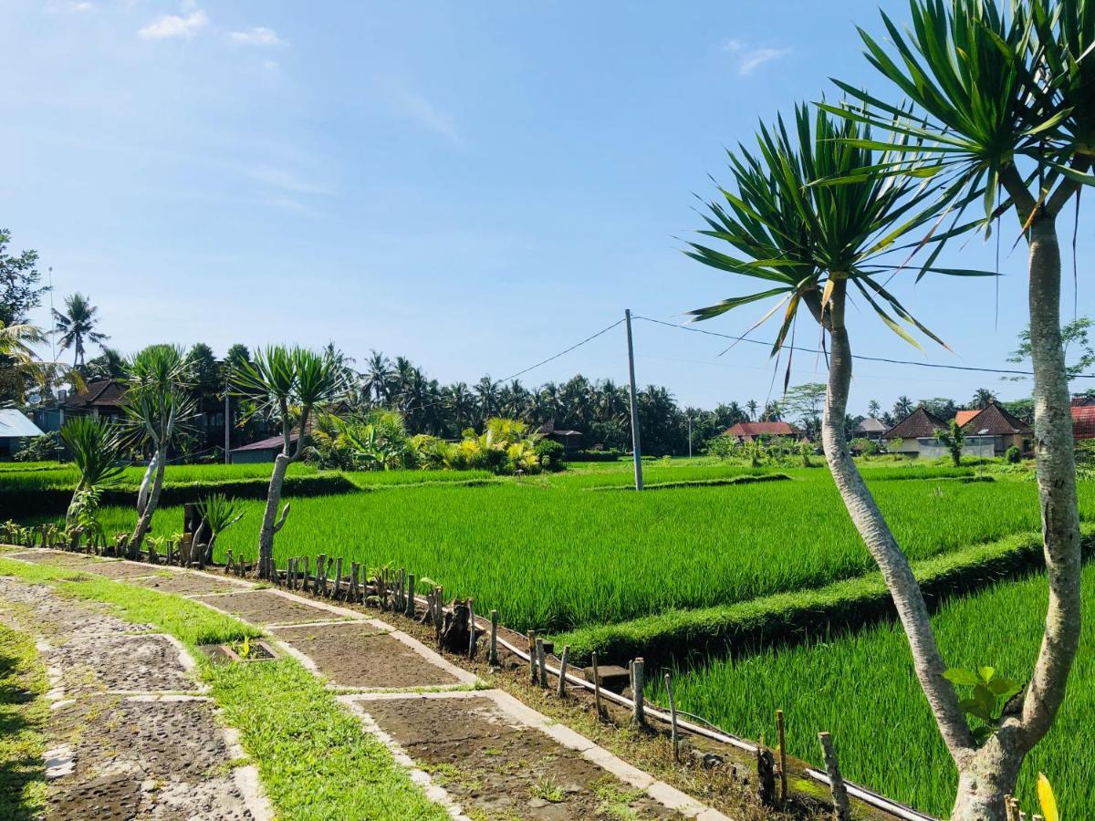 Villa Jj And Spa Ubud Εξωτερικό φωτογραφία
