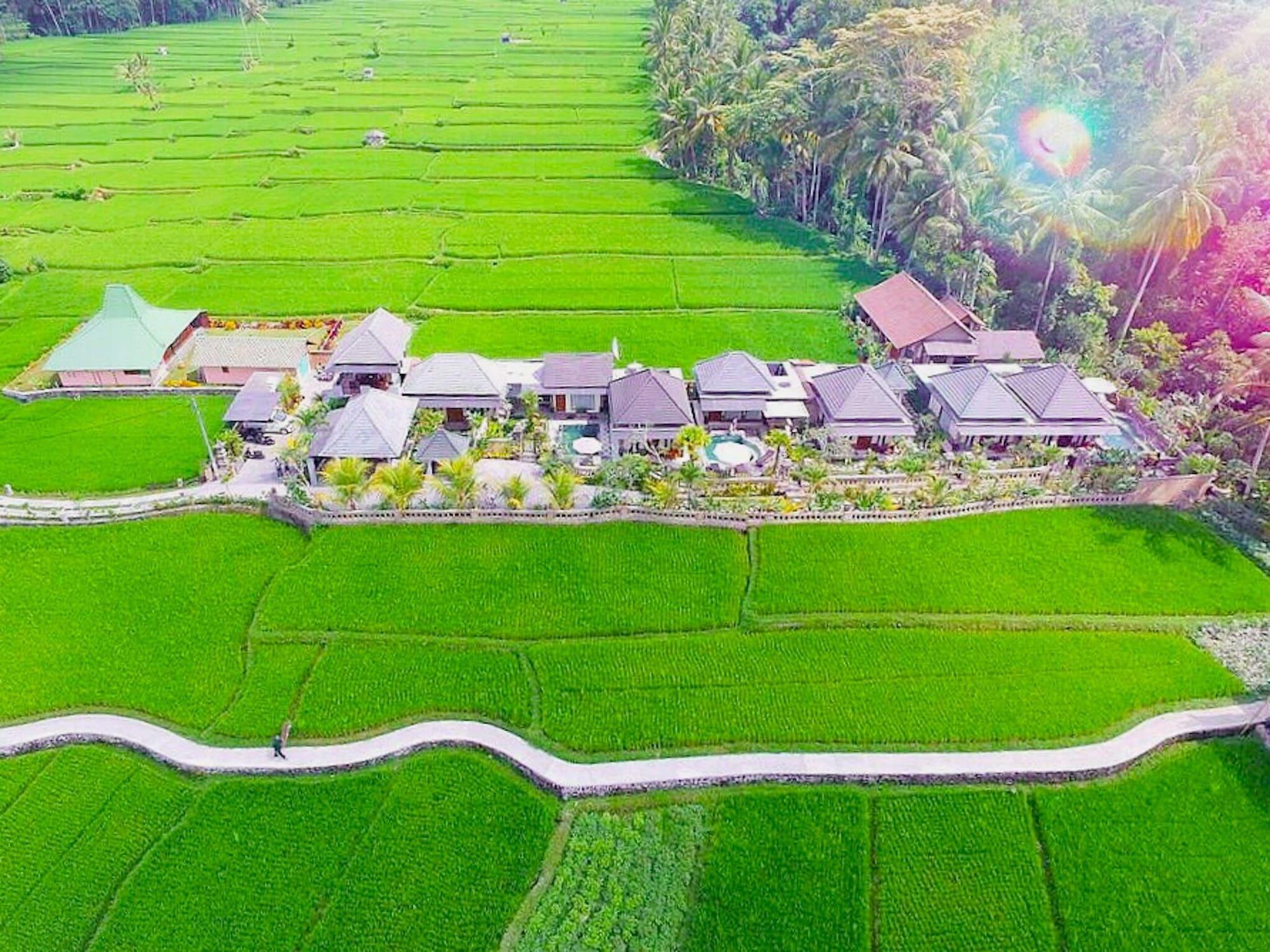Villa Jj And Spa Ubud Εξωτερικό φωτογραφία