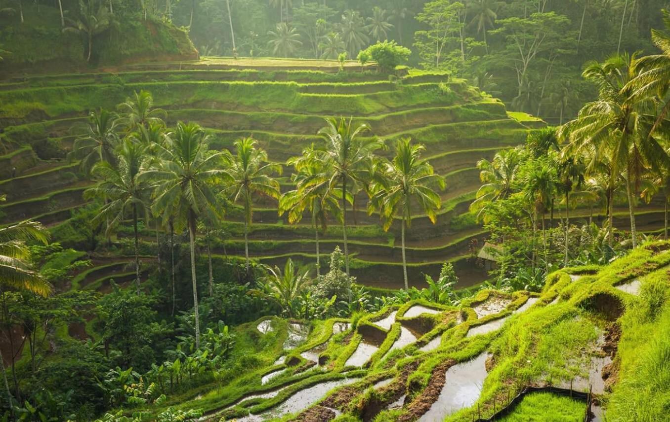 Villa Jj And Spa Ubud Εξωτερικό φωτογραφία