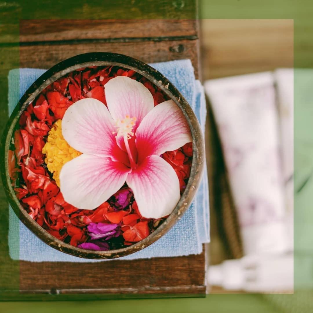 Villa Jj And Spa Ubud Εξωτερικό φωτογραφία